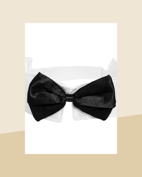 Kit Lapin Sexy – Oreilles, Nœud Papillon, Queue et Gants - photo premium Panoplia