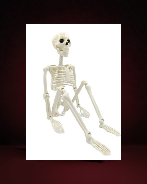 Halloween Skeleton Posable - photo premium Panoplia