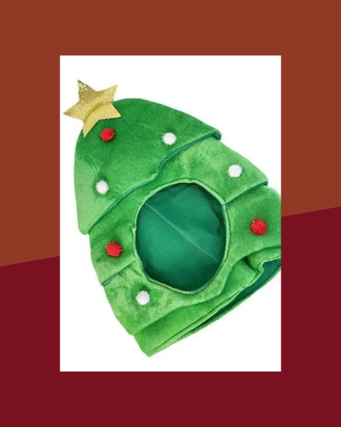 Chapeau Sapin de Noël avec Étoile - photo premium Panoplia
