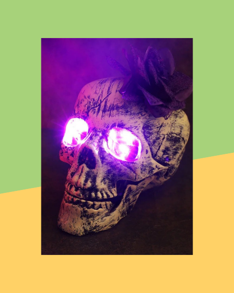 Squelette LED Taille Réelle Articulé - photo premium Panoplia