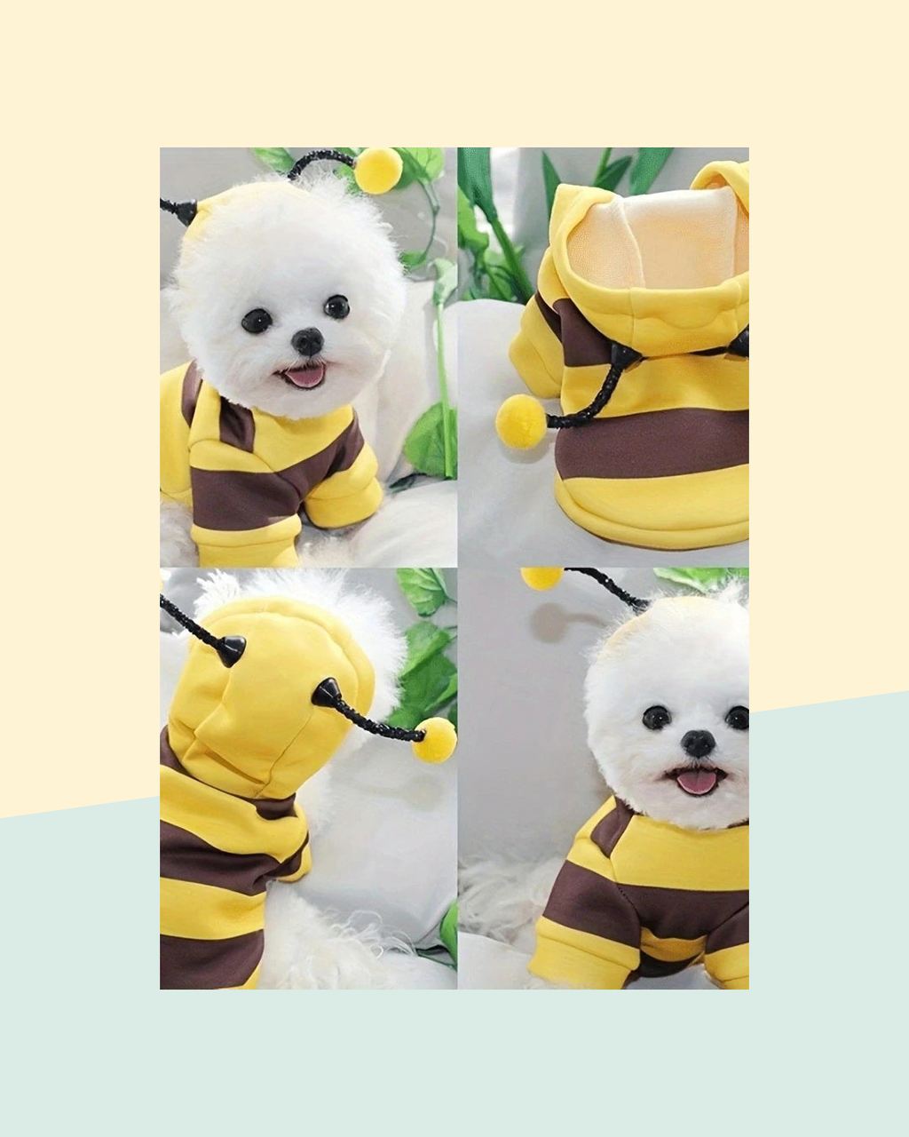 Sweat à Capuche Abeille pour Chien ou Chat - visuel premium