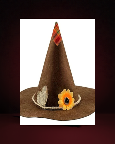 Chapeau d'Épouvantail Sorcier - photo premium Panoplia