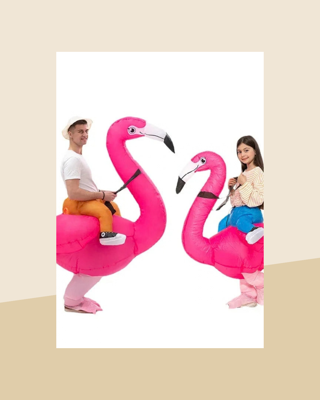 Déguisement Gonflable Flamant Rose - photo premium