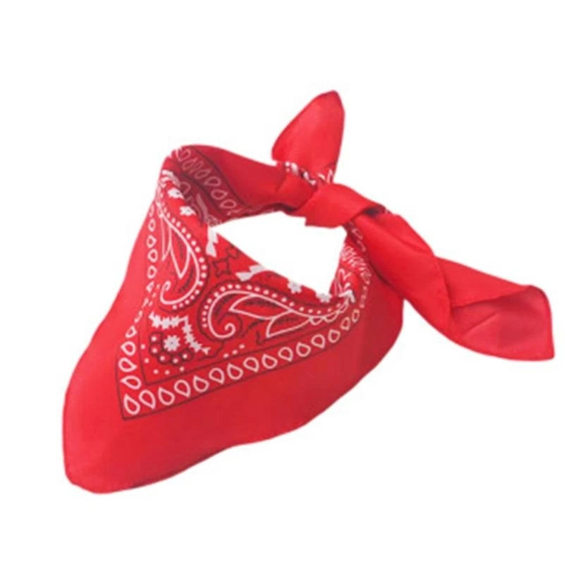 Déguisement Cowboy Enfant – Costume Far West