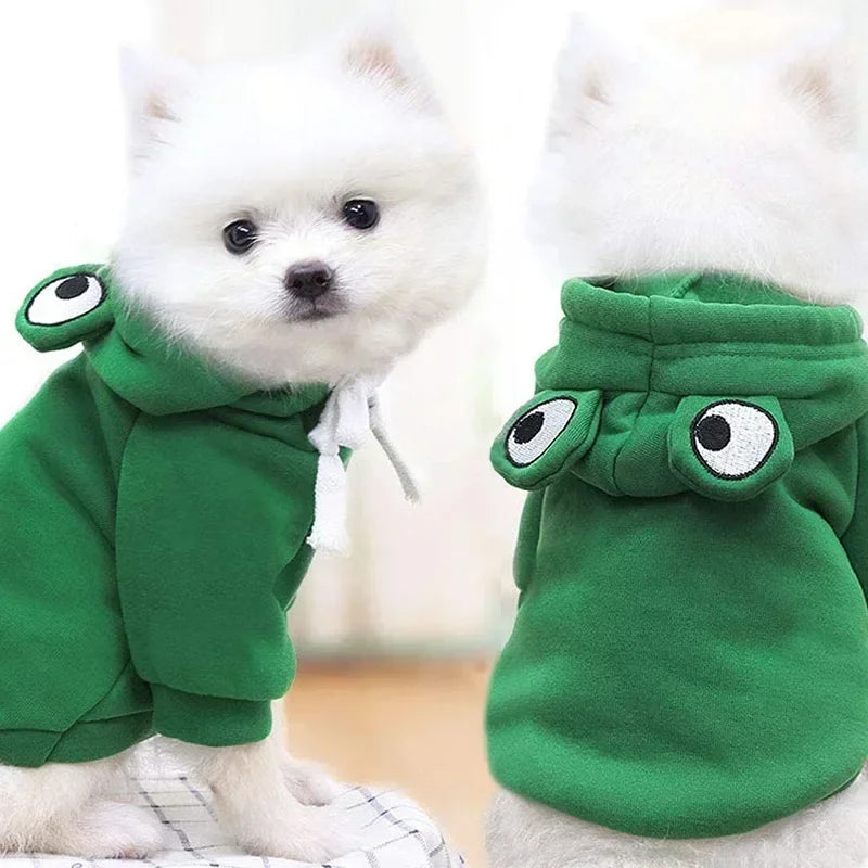Sweat Grenouille pour Chien ou Chat – Tailles S à L