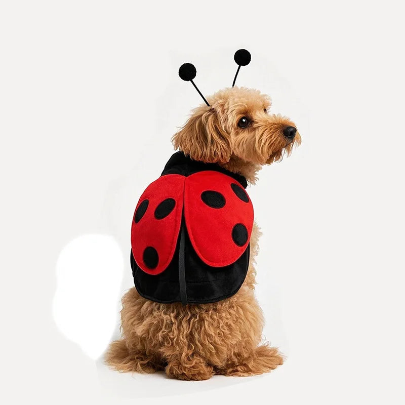 Déguisement Coccinelle pour Chien – Ailes et Antennes – vue 4