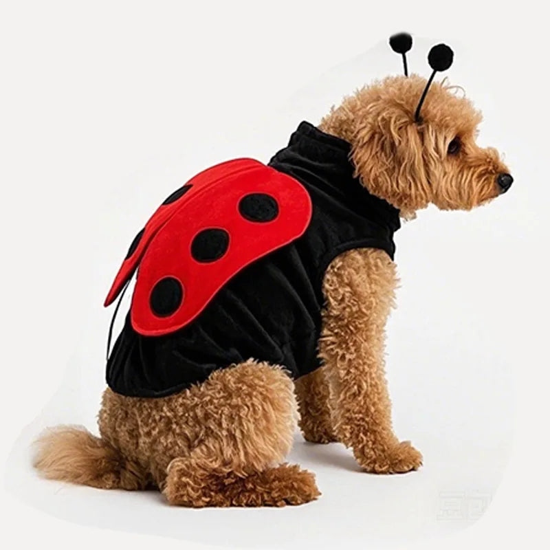 Costume Coccinelle pour Chien – Ailes et Antennes