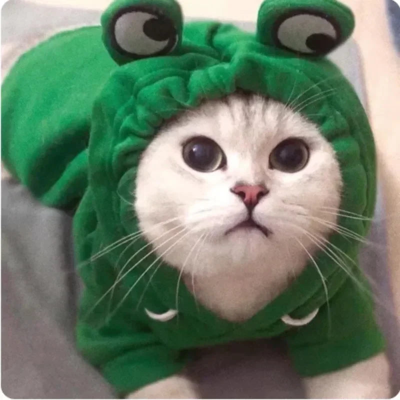 Déguisement Grenouille pour Animal de Compagnie – vue 4
