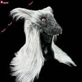 Kit Loup Effrayant – Masque et Griffes – vue 7