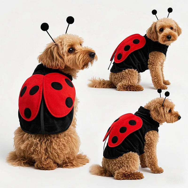Costume Coccinelle pour Chien – Ailes et Antennes