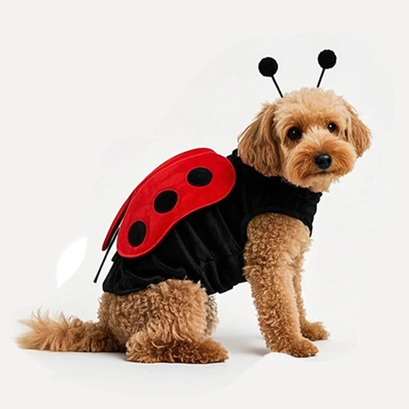 Costume Coccinelle pour Chien – Ailes et Antennes