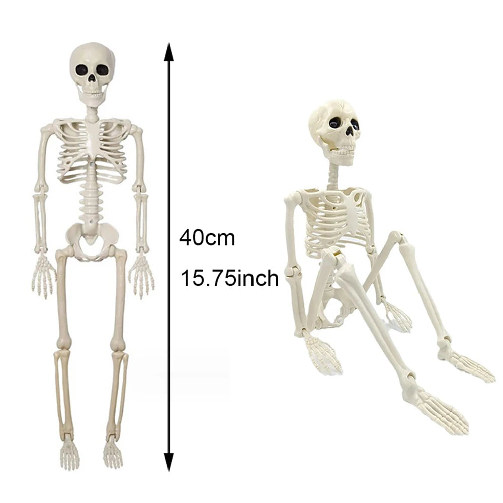 Squelette Articulé Halloween – Décoration 40 cm