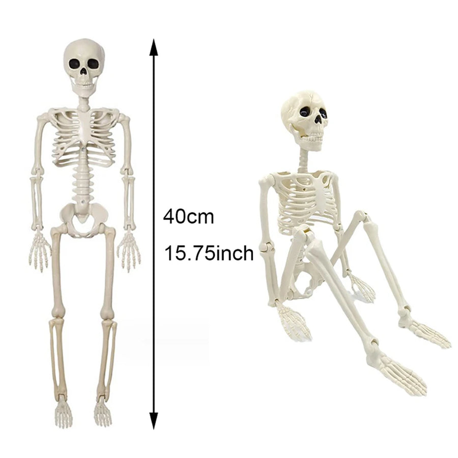Squelette Articulé Halloween – Décoration 40 cm