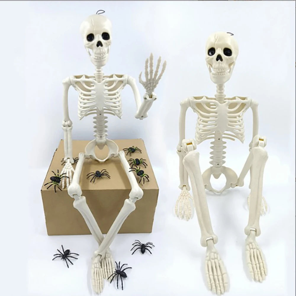 Squelette Articulé Halloween – Décoration 40 cm