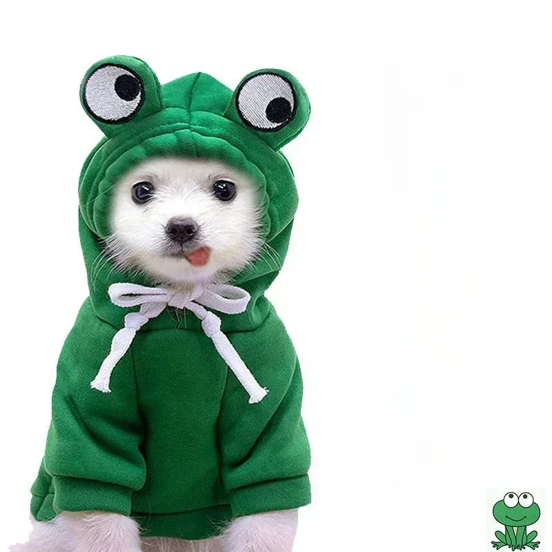 Déguisement Grenouille pour Animal de Compagnie – vue 2