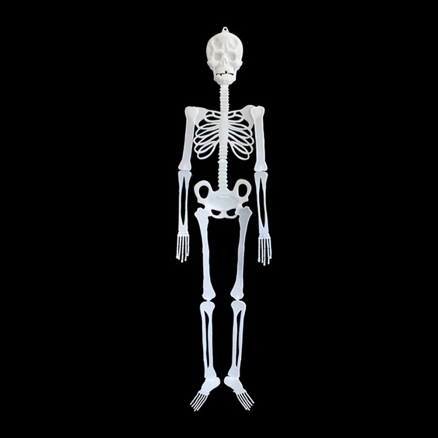 Squelette Phosphorescent à Suspendre – 30 ou 90 cm – vue 4