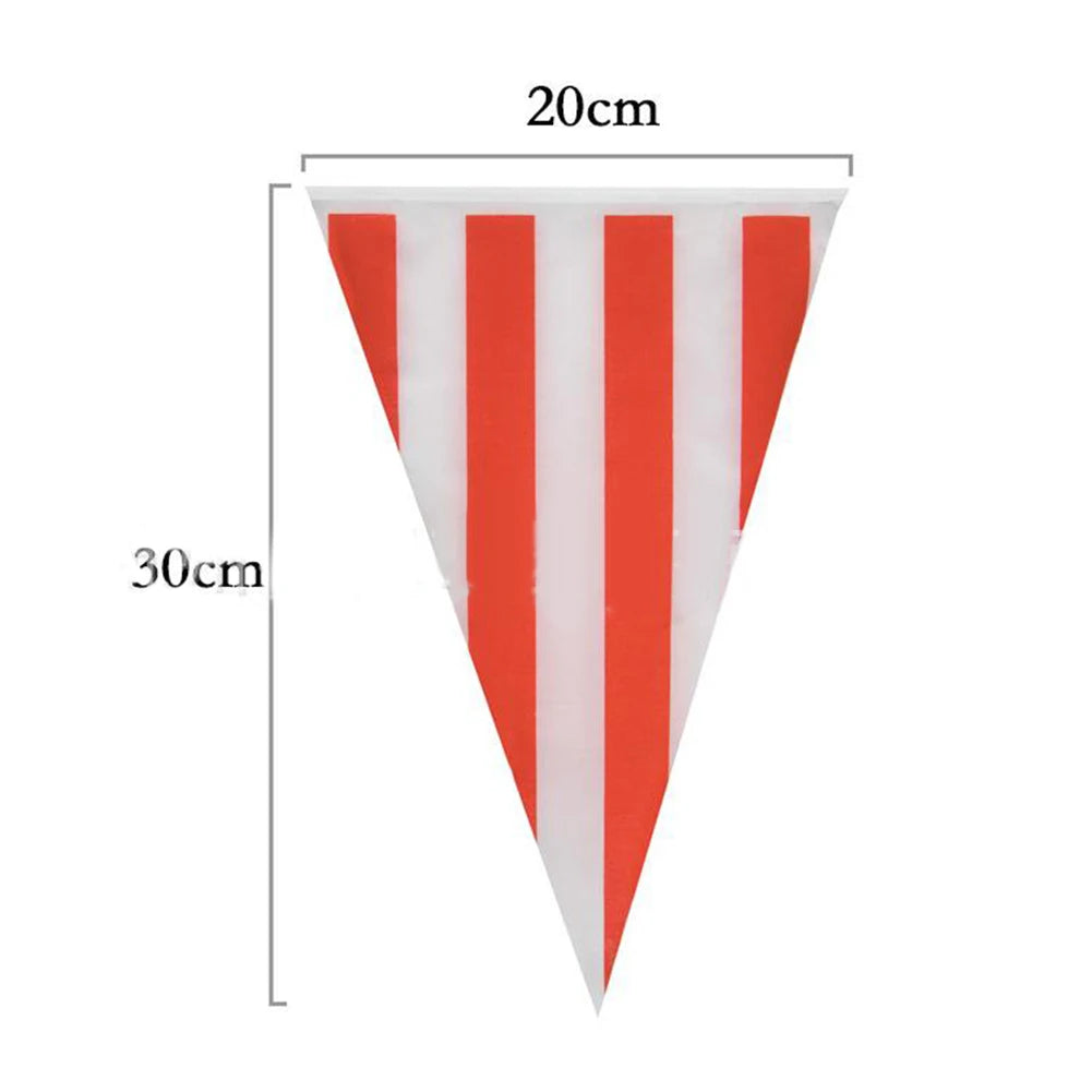 Fanions triangulaires blancs Carnaval – vue 7