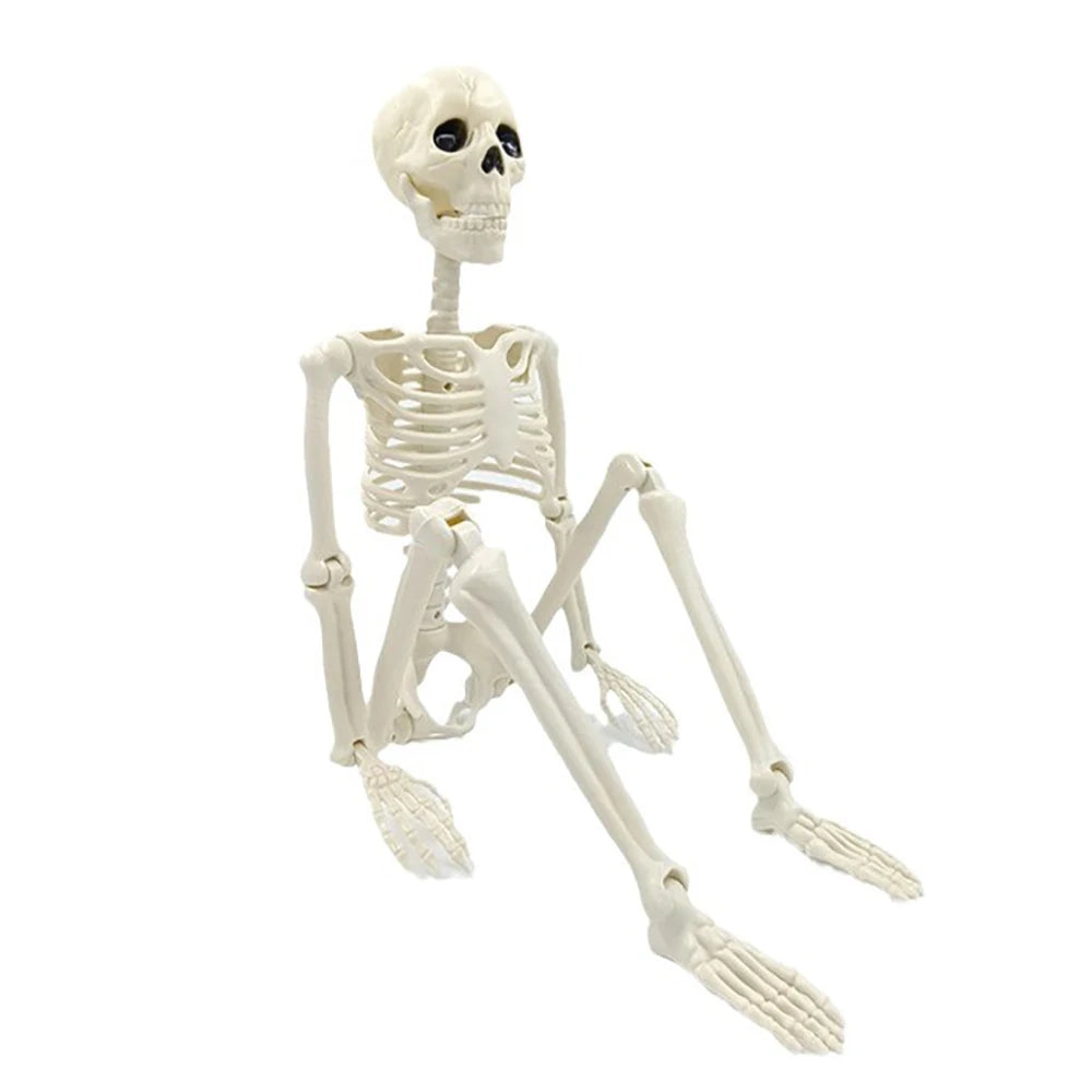 Squelette Articulé Halloween – Décoration 40 cm