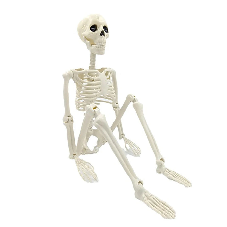 Squelette Articulé Halloween – Décoration 40 cm