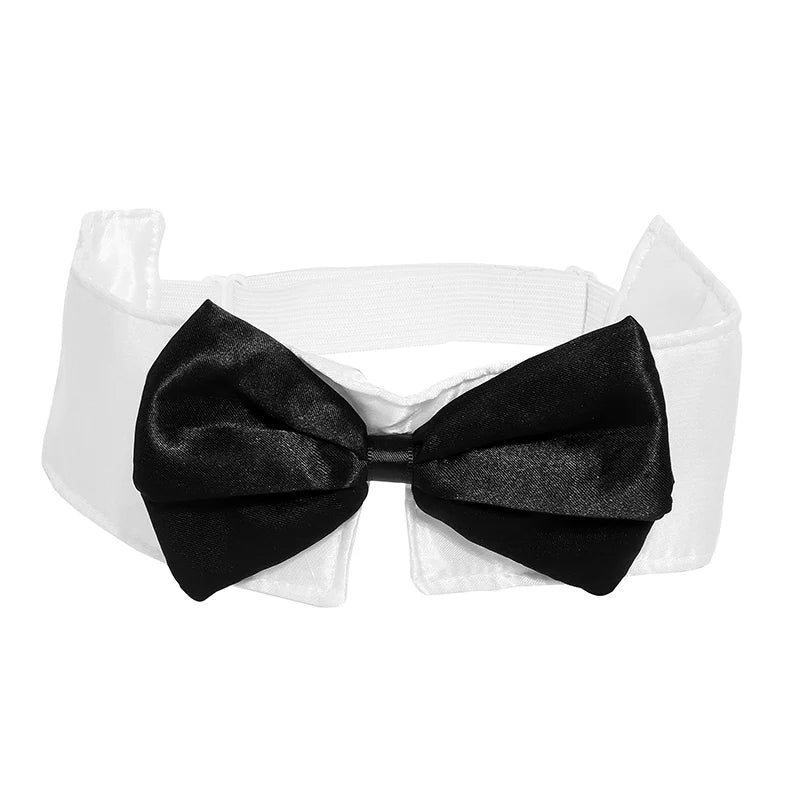 Kit Lapin Sexy – Oreilles, Nœud Papillon, Queue et Gants – vue 5