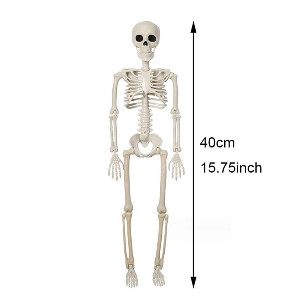 Squelette Articulé Halloween – Décoration 40 cm