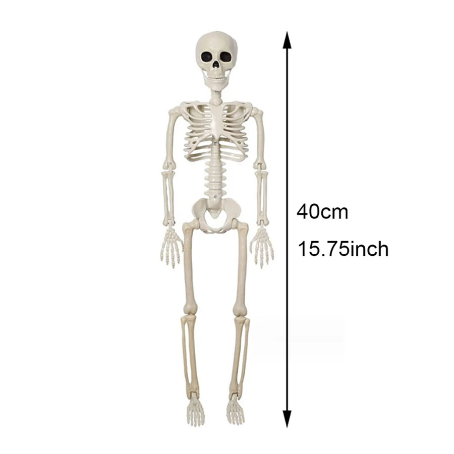 Squelette Articulé Halloween – Décoration 40 cm