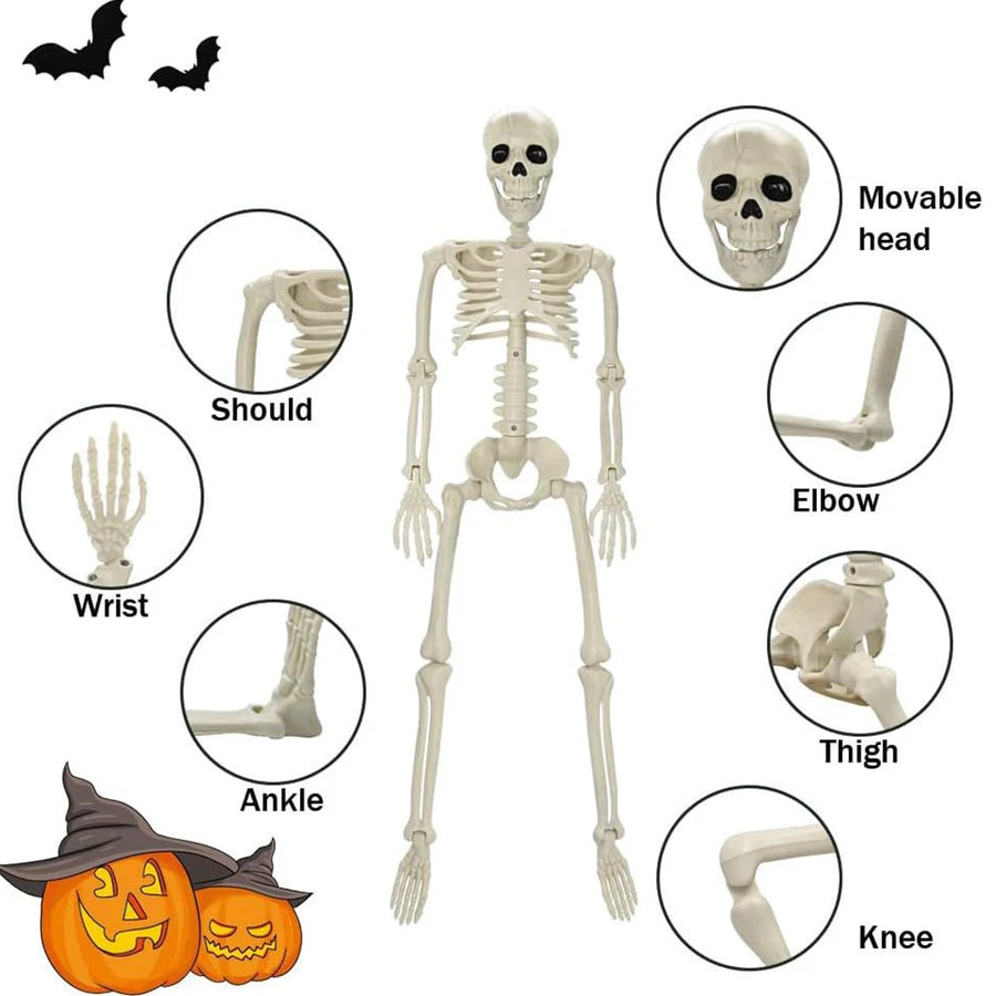 Squelette Articulé Halloween – Décoration 40 cm