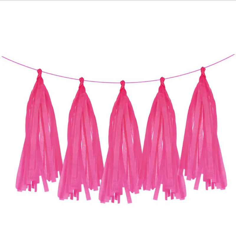 Guirlande de Pompons et Franges pour Anniversaire