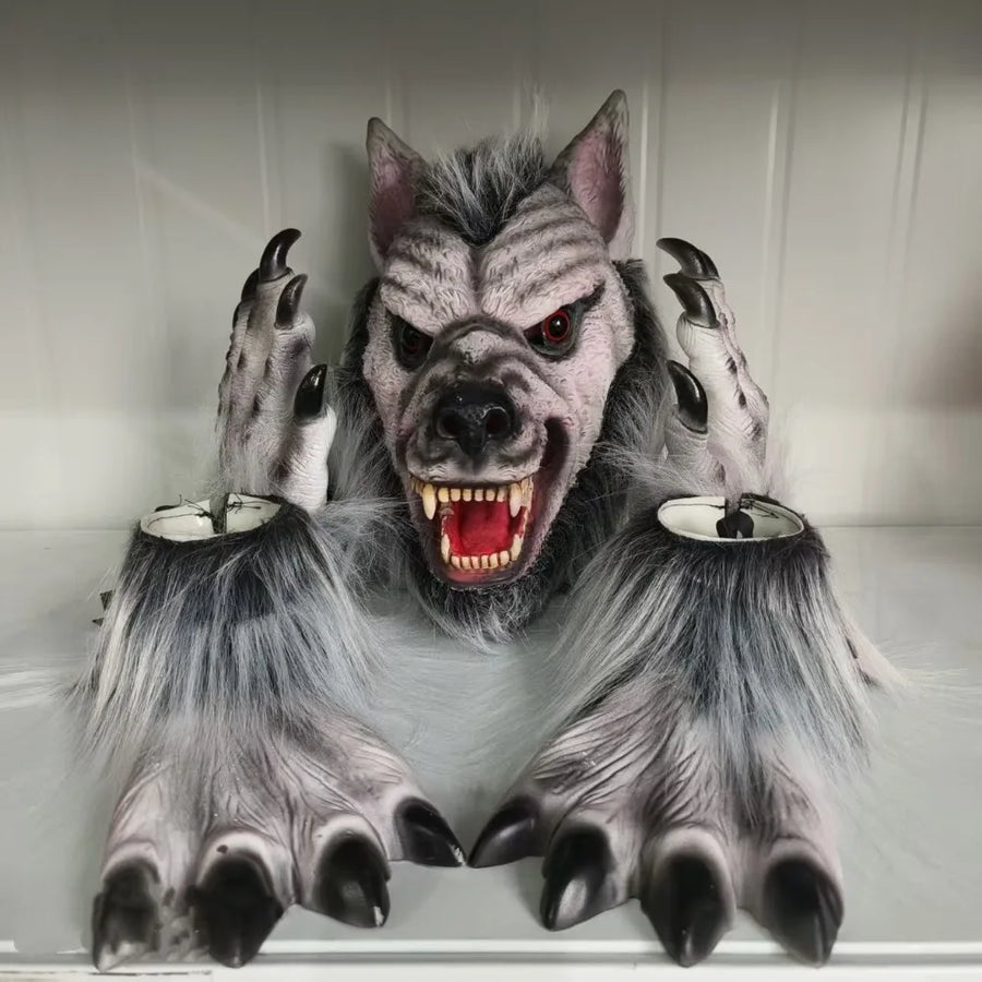 Kit Loup-Garou – Masque et Gants Griffes – vue 3